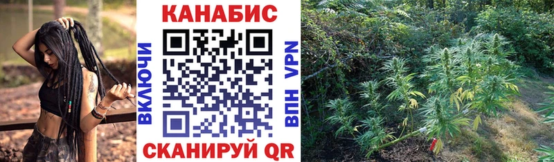 Где купить наркотики Тотьма А ПВП  Канабис  МДМА  Кокаин 