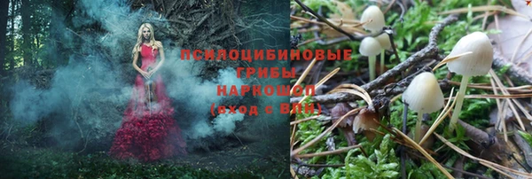 бошки Гусиноозёрск